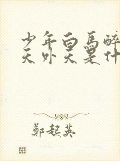 少年白马醉春风天外天是什么组织