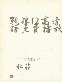 战狼12高清国语免费播放