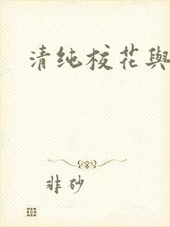 清纯校花与乞丐