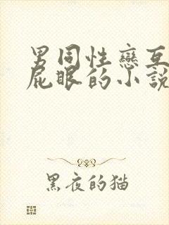 男同性恋互相操屁眼的小说封面