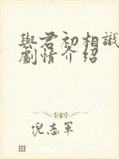 与君初相识分集剧情介绍