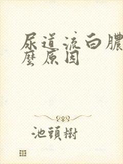 尿道流白脓是什么原因封面