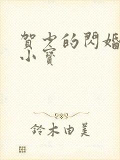 贺少的闪婚暖妻小宝
