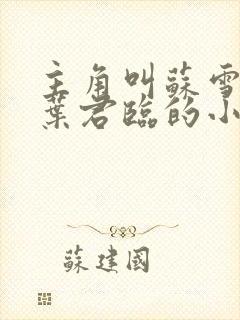 主角叫苏雪儿和叶君临的小说