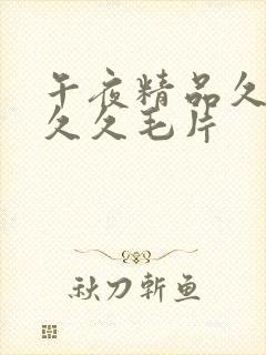 午夜精品久久久久久毛片