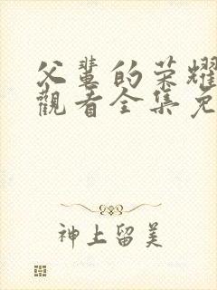 父辈的荣耀在线观看全集免费播放