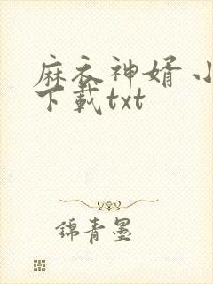 麻衣神婿 小说下载txt