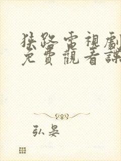 狭路电视剧全集免费观看谍影网