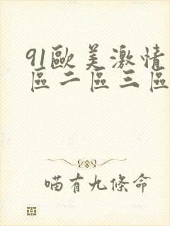 91欧美激情一区二区三区