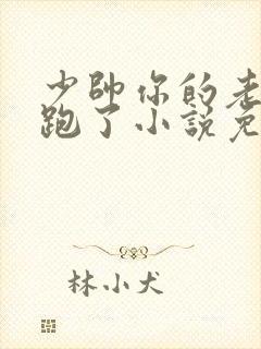 少帅你的老婆又跑了小说免费阅读