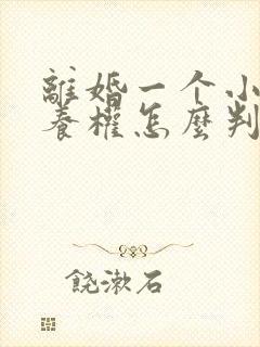 离婚一个小孩抚养权怎么判