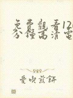 免费观看120分钟高清电视剧两个人封面