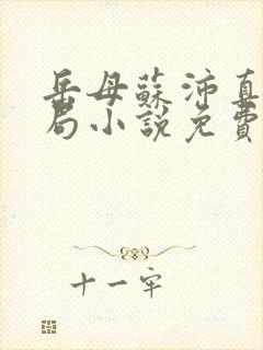 岳母苏沛真大结局小说免费阅读全文无弹窗