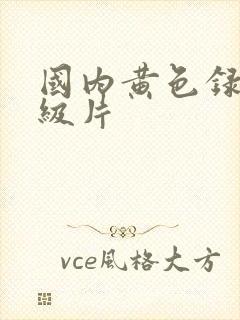 国内黄色录像一级片