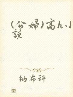 (公妇)高h小说