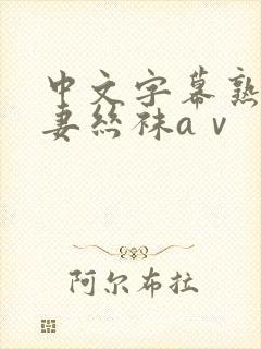 中文字幕熟女人妻丝袜aⅴ