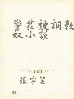 警花被调教成女奴小说封面