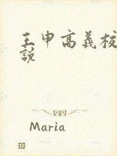 王申高义校长小说