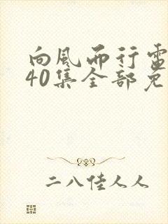 向风而行电视剧40集全部免费