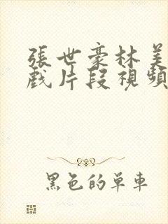 张世豪林美如吻戏片段视频