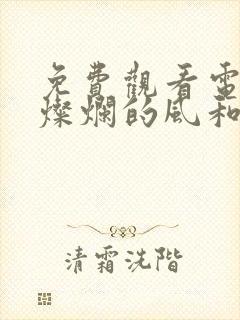 免费观看电视剧灿烂的风和海