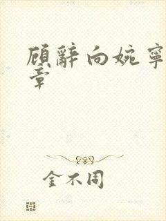 顾辞向婉宁30章