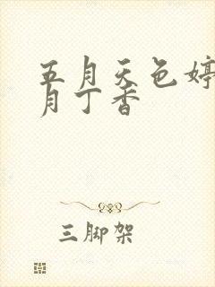 五月天色婷婷六月丁香封面