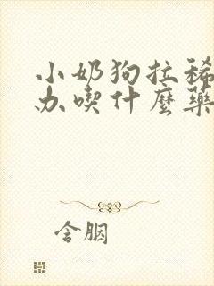 小奶狗拉稀怎么办吃什么药