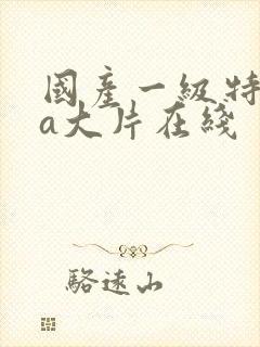 国产一级特黄aa大片在线