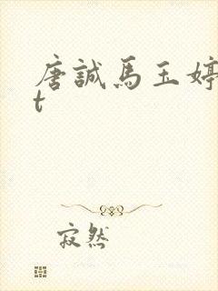 唐诚马玉婷txt封面