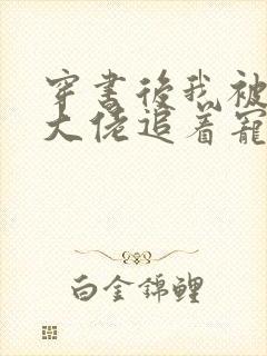 穿书后我被四个大佬追着宠下载全文