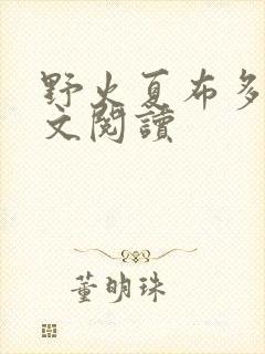 野火夏布多昂全文阅读