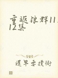 重返狼群11集12集