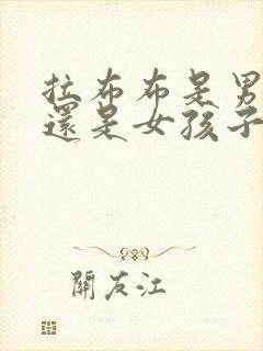 拉布布是男孩子还是女孩子