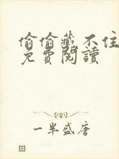 偷偷藏不住全文免费阅读