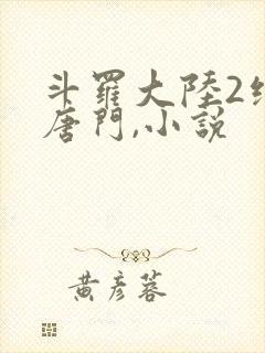斗罗大陆2绝世唐门,小说