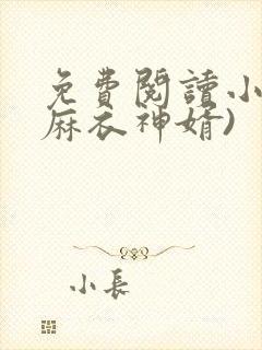 免费阅读小说(麻衣神婿)封面