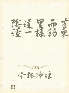 阴道里面有豆腐渣一样的东西,还痒