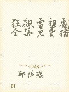 狂飙电视剧40全集免费播放