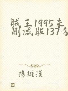 贼王1995未删减版137分钟