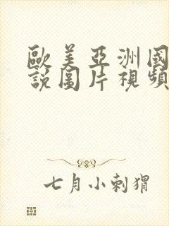 欧美亚洲国产小说图片视频