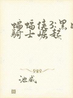 蝙蝠侠3:黑暗骑士崛起