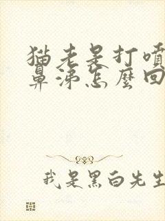 猫老是打喷嚏流鼻涕怎么回事