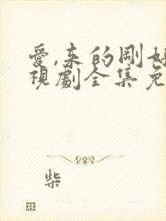 爱,来的刚好电视剧全集免费观看