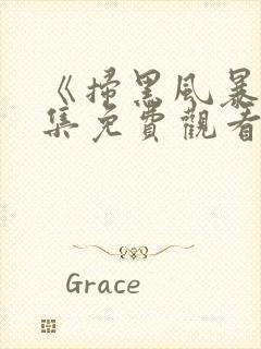 《扫黑风暴》全集免费观看