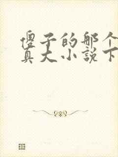傻子的那个东西真大小说下载