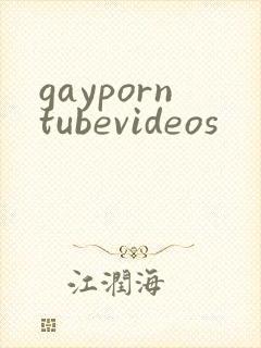 gayporntubevideos