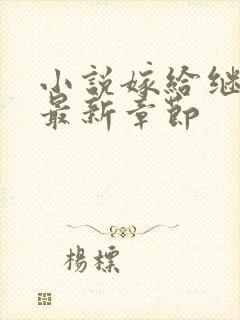 小说嫁给继兄后最新章节