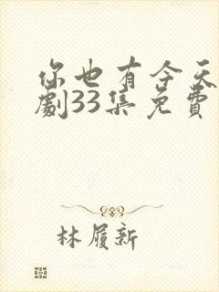 你也有今天电视剧33集免费观看