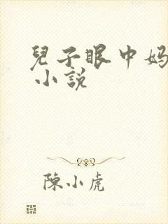 儿子眼中妈妈的 小说